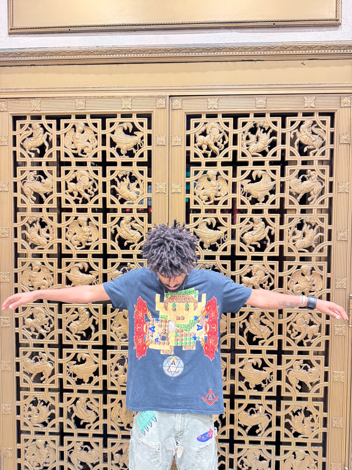 AAP Agenda Zelda tee (Sample)