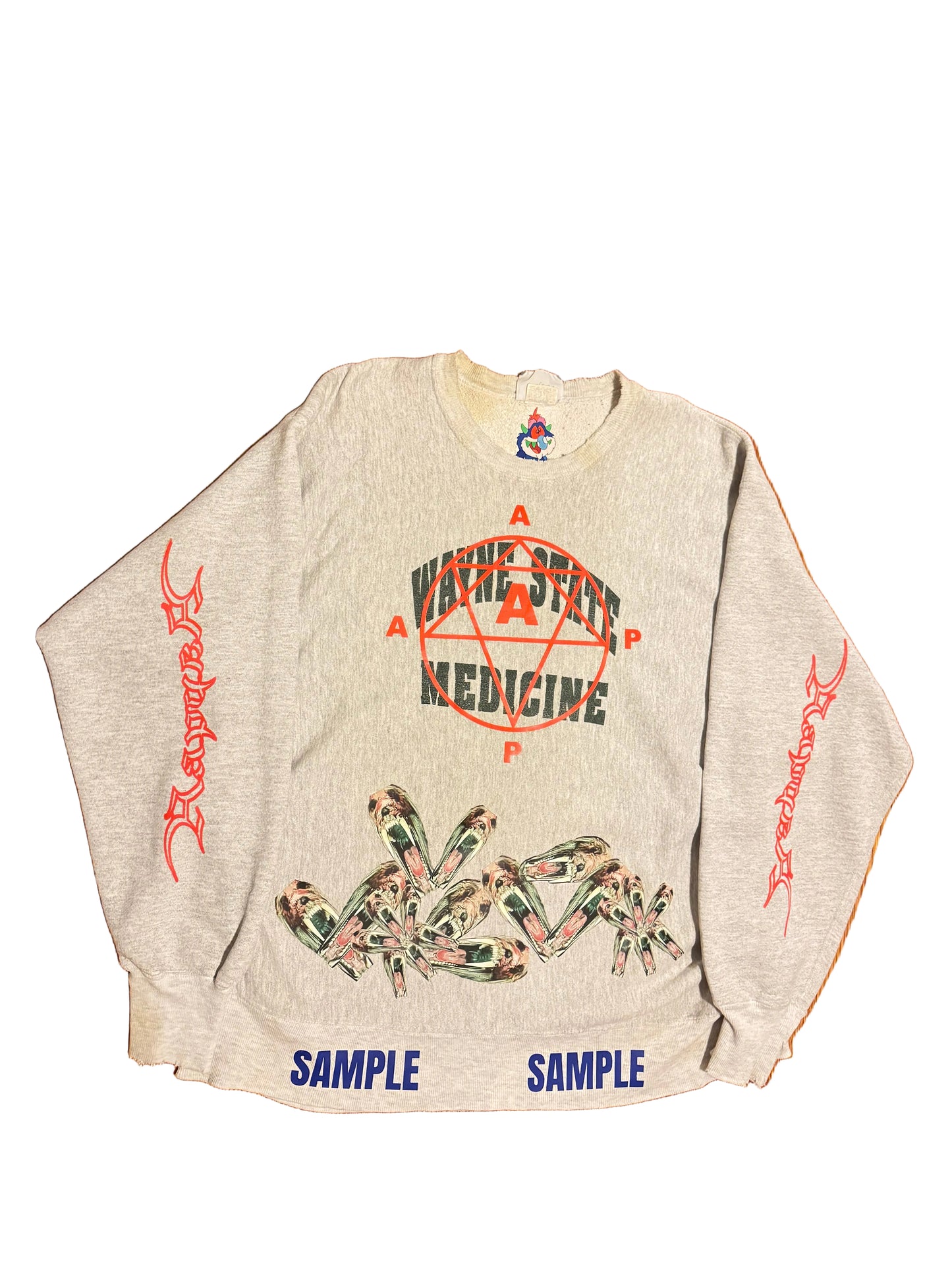 AAP “Wayne State Medicine” sweatshirt (Sample)